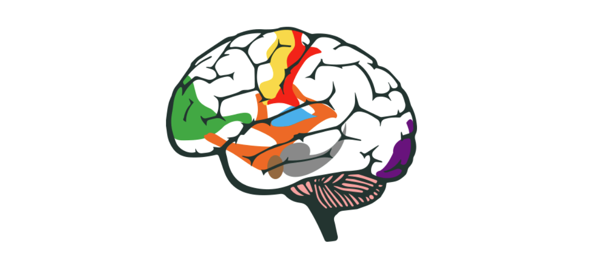 efeitos da musicoterapia no cerebro