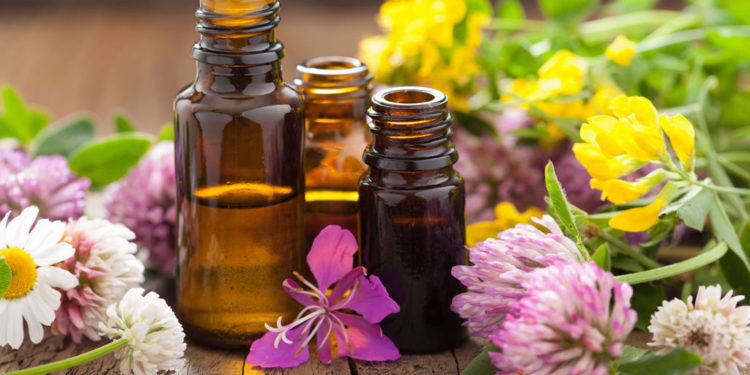 Oleos Essenciais na Aromaterapia