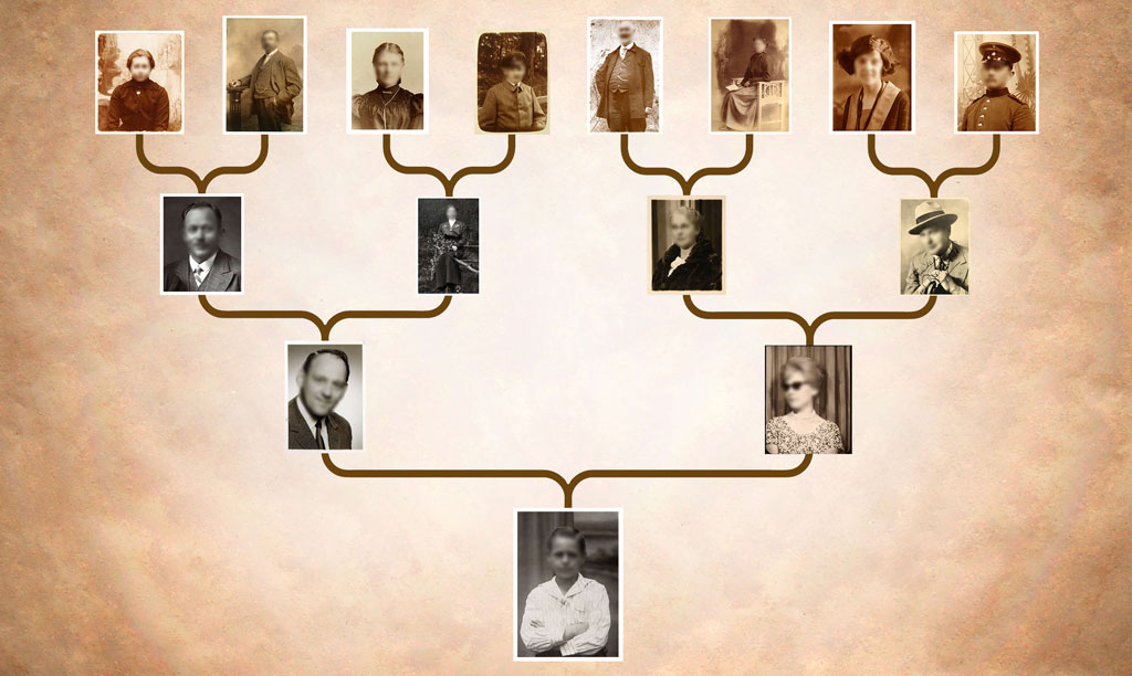 arvore genealogica constelacao sistemica familiar