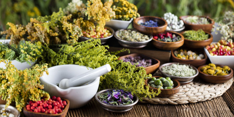 beneficios da naturopatia